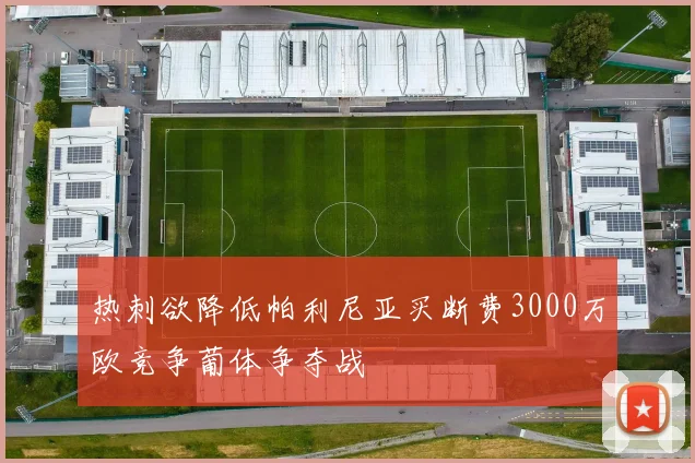 热刺欲降低帕利尼亚买断费3000万欧竞争葡体争夺战